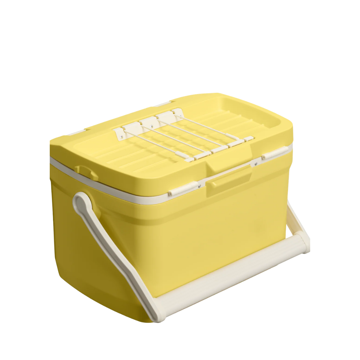 THE EASY CARRY OUTDOOR COOLER