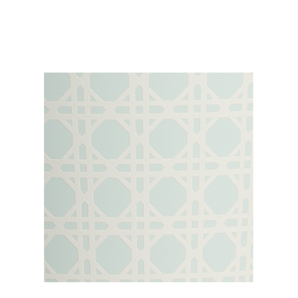 THE EVERYDAY TUMBLER