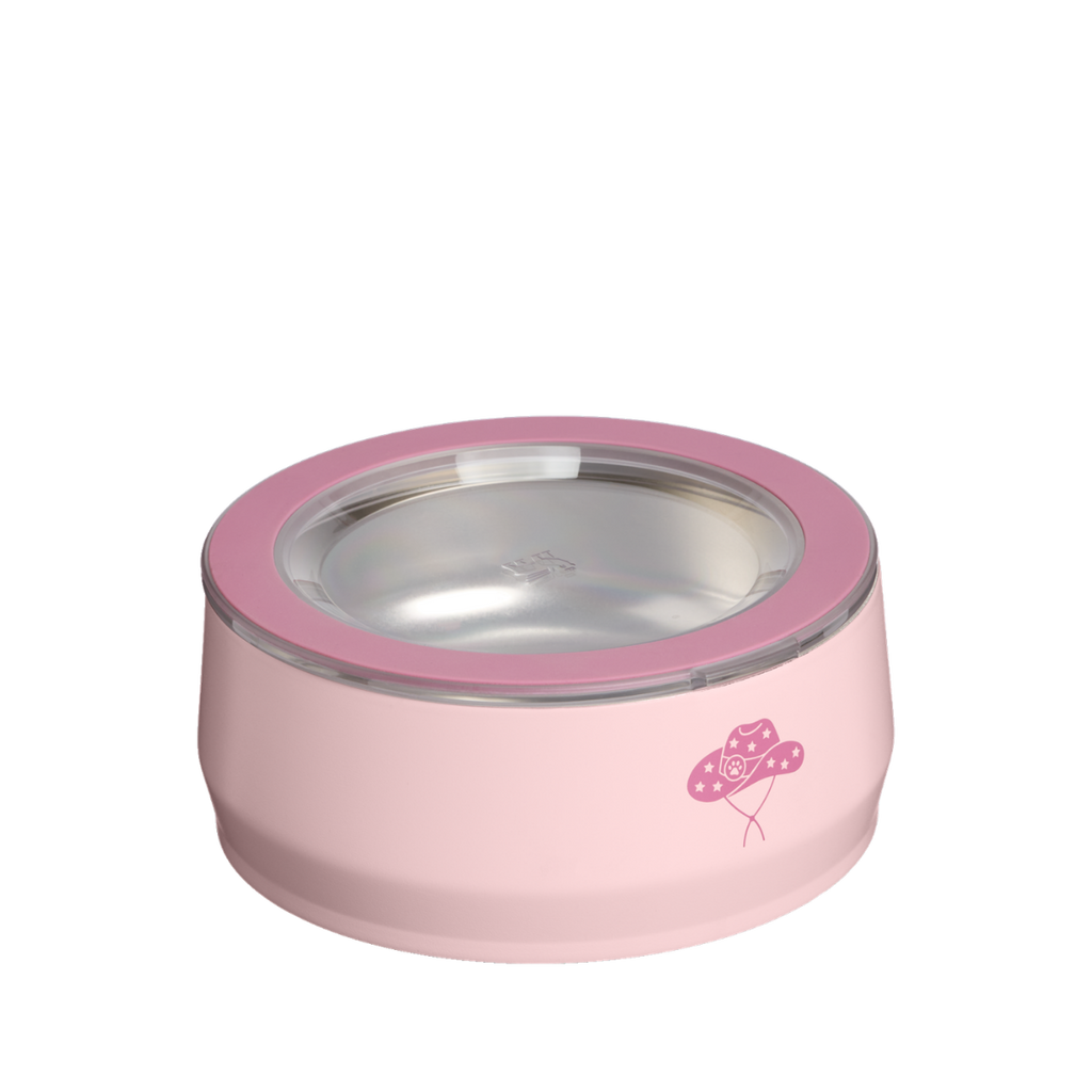 Stanley 1913 Pet Bowl